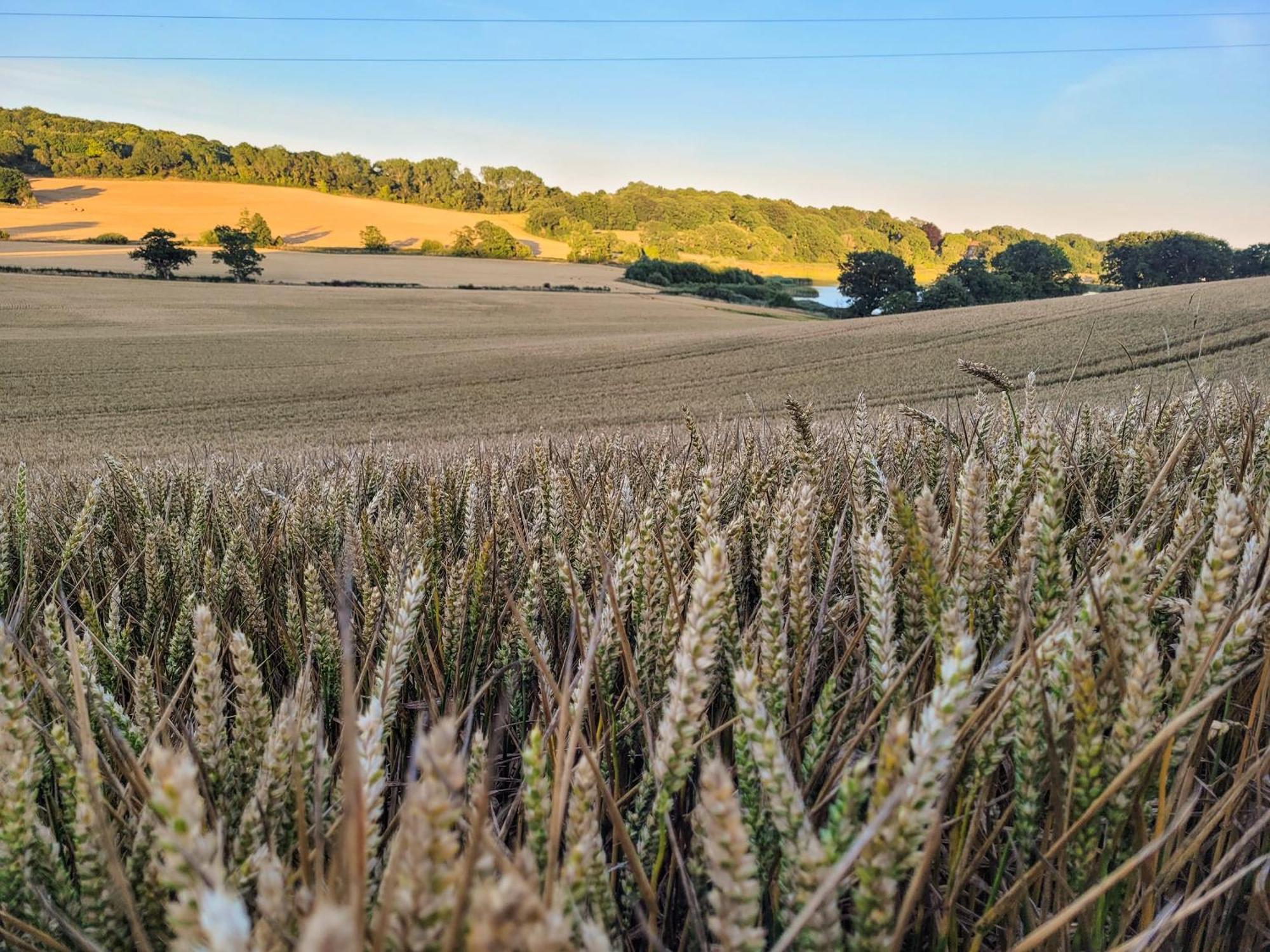 Hayfield Haven-Uk40691 Villa Crowhurst  Dış mekan fotoğraf