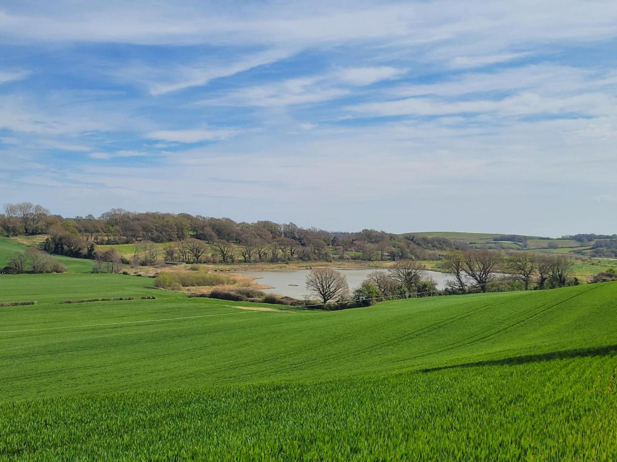 Hayfield Haven-Uk40691 Villa Crowhurst  Dış mekan fotoğraf